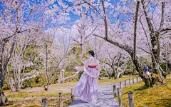 【图片】#宝藏小城#[kris带你云游花海】春来夏往，秋收冬藏，请收好这份四季“花海报表”,浙江景点图片-游侠客旅行