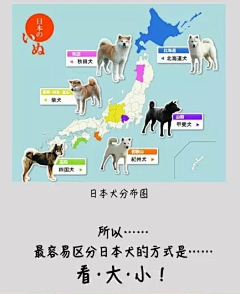 洛落物语采集到古善本画卷