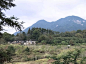 鸟鸣中晨醒的隐世山居 | 阳光城保利·源溪里山