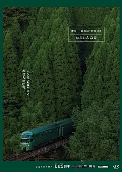  绿 色 系 海 报 设 计

#立春# ​​​​
