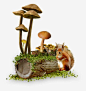 蘑菇和小松鼠png免抠素材_新图网 https://ixintu.com 蘑菇 森林 植物 松鼠