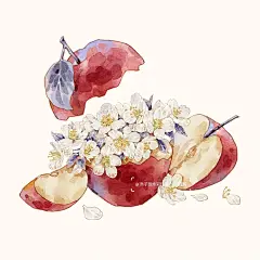 复古系苹果胶带 - 小红书