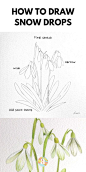 (1) Pinterest