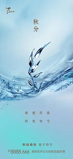 秋分节气海报-设计素材-shejisc.cn