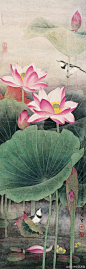 ____喻继高 <荷花国画微展>汉族，1932年7月生于江苏铜山。毕业南京大学艺术系。 擅工笔重彩花鸟，画风典雅秀丽，雍容豁达，富有时代气息。 1959年应邀为北京人民大会堂作《孔雀图》。.繁盛、充盈、丰实、欢乐、光彩照人、风流蕴藉、活泼天真、泱泱大度，这就是继高工笔重彩花鸟画的基调和风格。