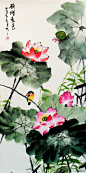 荷花翠鸟图