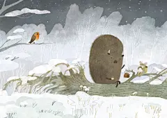 绘本画家 Oksana Bula 绘画作品   |   ins: tukoni_tribe ​​​