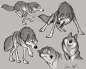 Wolf Designs - Peter & The Wolf, Aaron Blaise : These were character studies created for my "Complete Character Design Course"- I wanted to explain the entire story development process from story development through final animation character