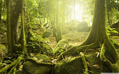 S鹿先生的-deer采集到素材-风景