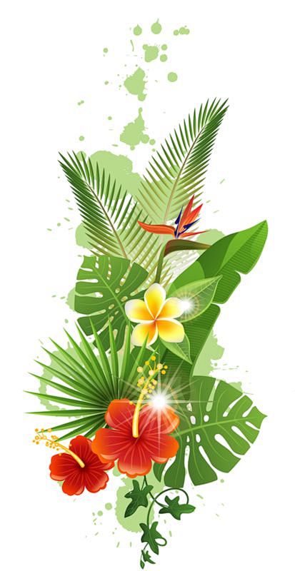 手绘花水彩花绿叶fleurs,flore...