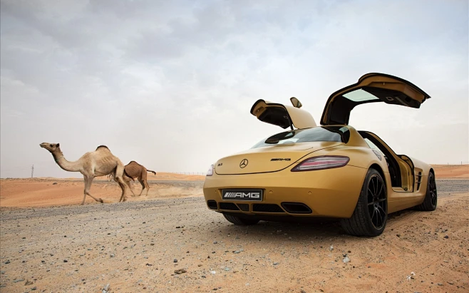 General 2560x1600 cars Mercedes-Benz SLS AMG deserts deserts camels animals