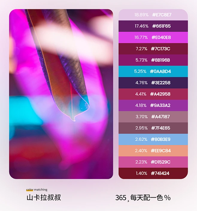 配色-花瓣网