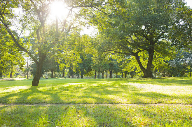 公園 太陽光
