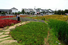 如沐春风20122012采集到乡村景