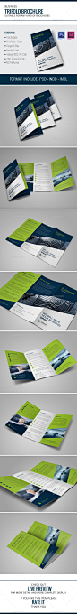 Trifold Business Brochure - Corporate Brochures