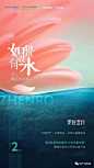 夏令营海报