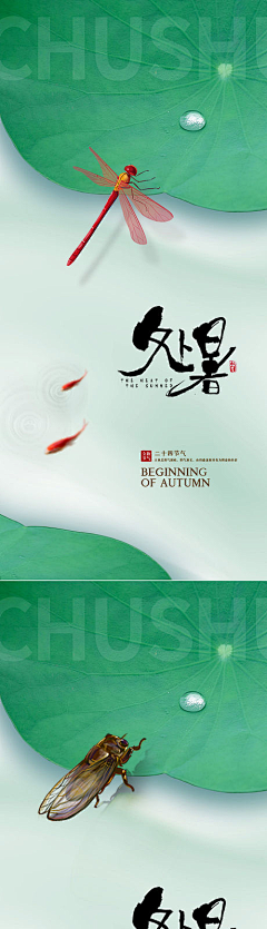 精选素材采集到处暑精选素材