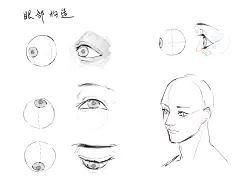 cat eye tutorial by *Apofiss on deviantART-花瓣网