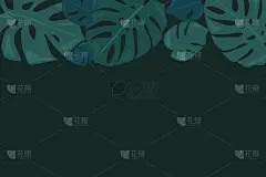 干酪藤,热带雨林,叶子,绿色,背景,纺织品,壁纸,北方蟾蜍,植物,花