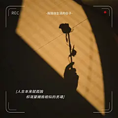 词卡消极情绪晒照简约风plog模板