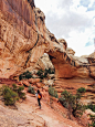 Starry-eyed and Sugar-high in Capitol Reef