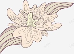 皮洛米采集到线描素材