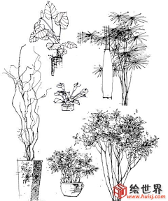 溪茈采集到手绘 花艺