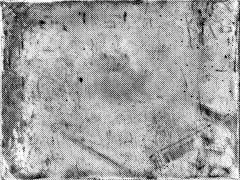 小银叶采集到纹理