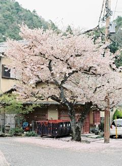 素默笙°采集到繁杂城市