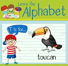 闪卡,英文字母T,巨嘴鸟,可爱的,白色,自然,单词,字母,野生动物,演讲