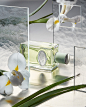 Photo by Prada Beauty on August 27, 2022. May be an image of fragrance and flower.