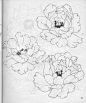 【牡丹白描结构图】最好的一篇牡丹教学了 分页欣赏7.5）#书画界# ​​​​