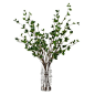 D&W Silks Cherry Leaf Branches in Glass Cylinder, Red