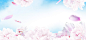 清新粉色花朵banner背景素材banner背景,朵,粉色花,蓝天,浪漫,清新,素材
