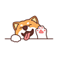 Cute shiba inu dog waving paw