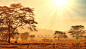 绝美非洲草原风景图片素材