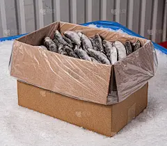 有机鲜鱼的生产。一个带塑料袋的纸盒。块冰。小的小人物。