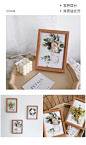 ins干花相框花立体贴画挂墙永生花家居装饰画摆件植物标本壁挂饰-tmall.com天猫