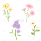 简约手绘花朵花卉元素