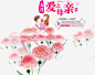 五月母亲节康乃馨花朵诗篇 平面电商 创意素材