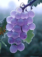 (32) Pinterest