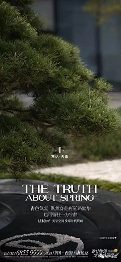 有梦想的关大宝采集到城市资产