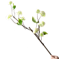 仿真花客厅花艺雪球花假花装饰摆件餐桌插花花束轻奢摆设干花绣球