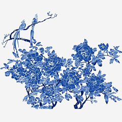 热热rere采集到素材3