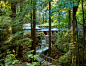 008-2020-asla-general-design-award-of-excellence-cultural-crossing-transforms-portland-japanese-garden-into-a-place-of-cultural-dialogue-960x742