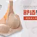 大图1