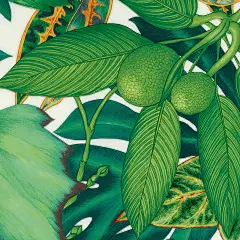 @HERMES 的个人主页 - 微博
