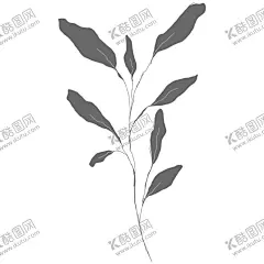 手绘花藤花纹 【酷图网】森系清新,手绘花卉,手绘花枝,森系枝叶,婚礼花环,水彩花环,花卉边框,花叶边框,森系边框,欧式边框,欧式花环,花卉花草,淡雅花枝,花草植物,橄榄枝,枝条,植物花卉,森系花卉,花藤,花叶,花语,花艺,花艺插花,手绘花朵,花边花纹,欧式花纹,植物花草,花卉植物,彩绘花纹,彩绘花环,创意花边,唯美花藤