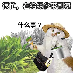 《职场敷衍表情包Ⅰ我很忙》 - 小红书