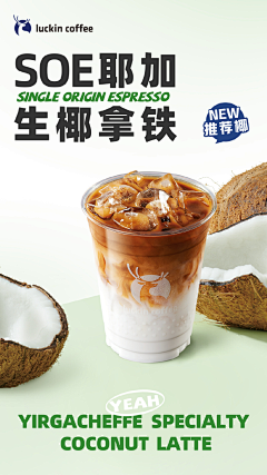 PUG_LF采集到奶茶